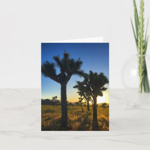 joshua tree sunset #1 notecard