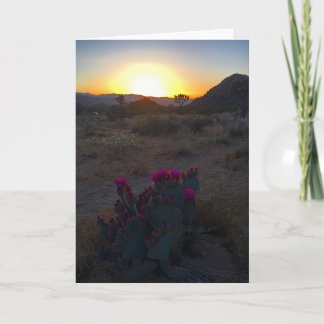 joshua tree sunset #2 greeting card (Front)
