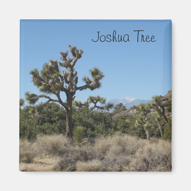 Joshua Tree View Magnet (Front)
