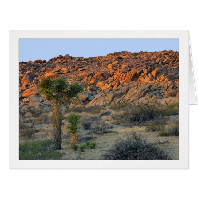 "Joshua Tree With Offspring" (Front Horizontal)