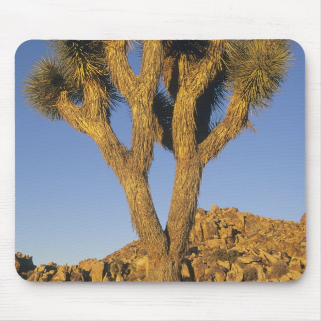 Joshua Tree, Yucca brevifolia), and granite Mouse Pad (Front)
