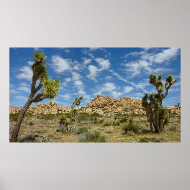 Joshua Trees and Blue Sky Desert Landscape Poster (Front)