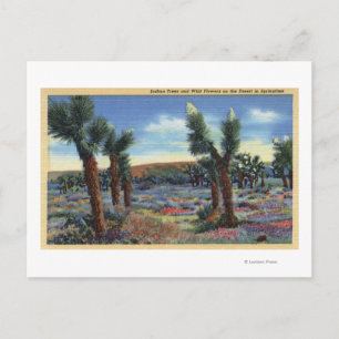 Joshua Trees and Desert Wild Flowers View Postcard