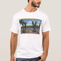 Joshua Trees and Desert Wild Flowers View