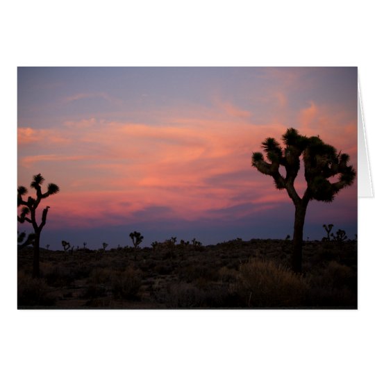 Joshua Trees at Sunset Card