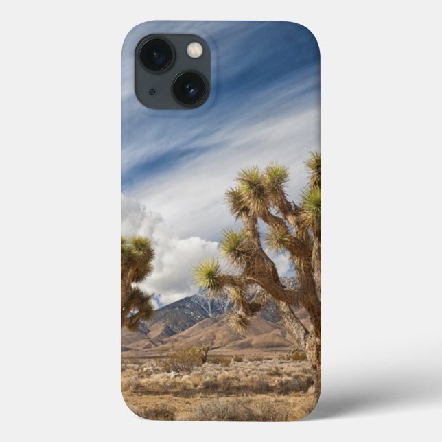Joshua Trees in Desert Case-Mate iPhone Case (Back)