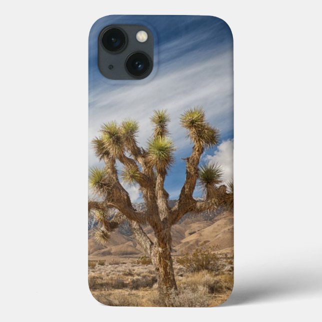 Joshua Trees in Desert Case-Mate iPhone Case (Back)