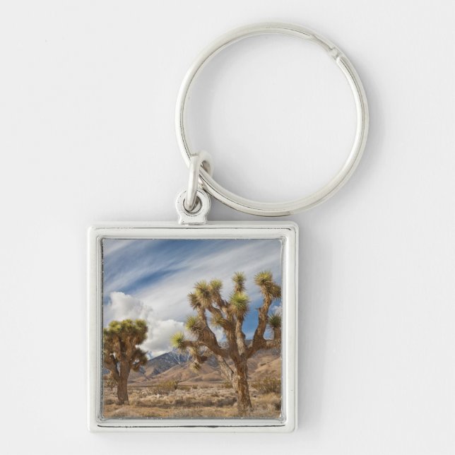 Joshua Trees in Desert Key Ring (Front)