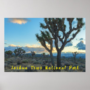 Joshua Trees National Park Desert Landscape Poster