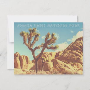 Joshua Trees National Park Landscape Scenery Postcard