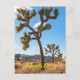 Joshua Trees National Park Postcard