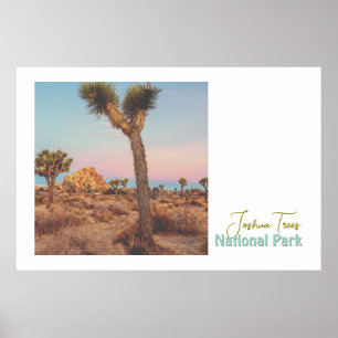 Joshua Trees National Park Poster