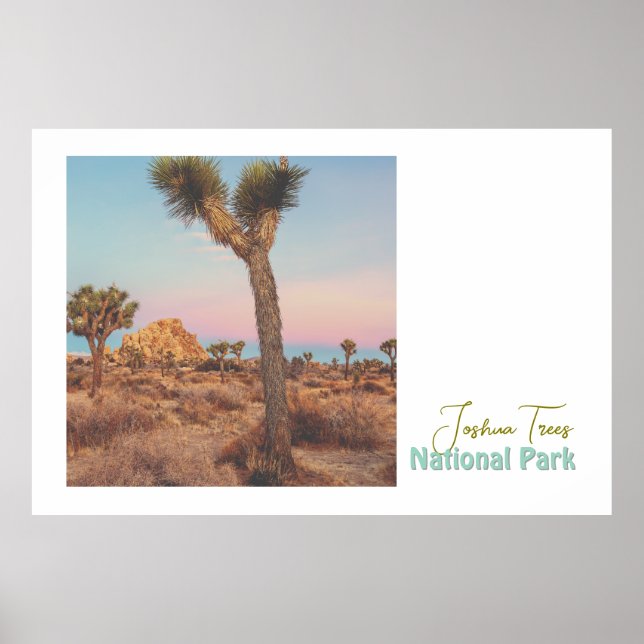 Joshua Trees National Park Poster (Front)