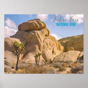 Joshua Trees National Park Poster