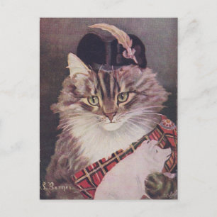 Joueur de cornemuse chat postcard