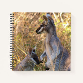 Journal featuring koala and wallabies in Australia
