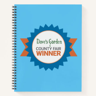 Journal notebook for our on line county fair winne