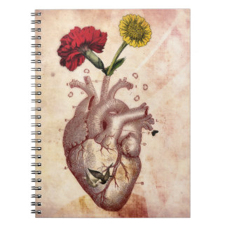 Journal, Notebook, Spiral, Anatomie 2, Heart Notebook