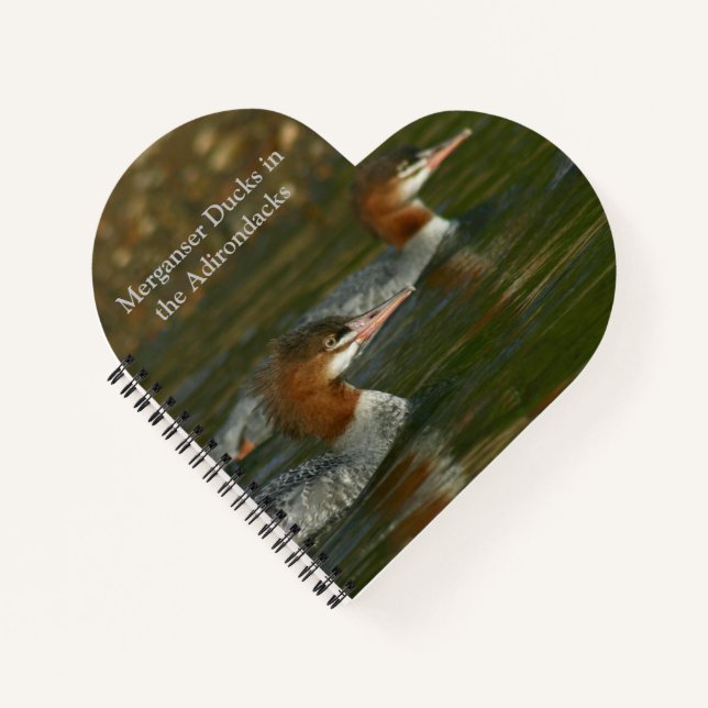 Journal with Merganser Ducks in the Adirondacks (Front)