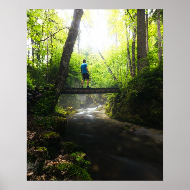 Journey through the magical forest poster (Front)