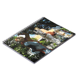 Journey to the West [Monkey Magic] Notebook