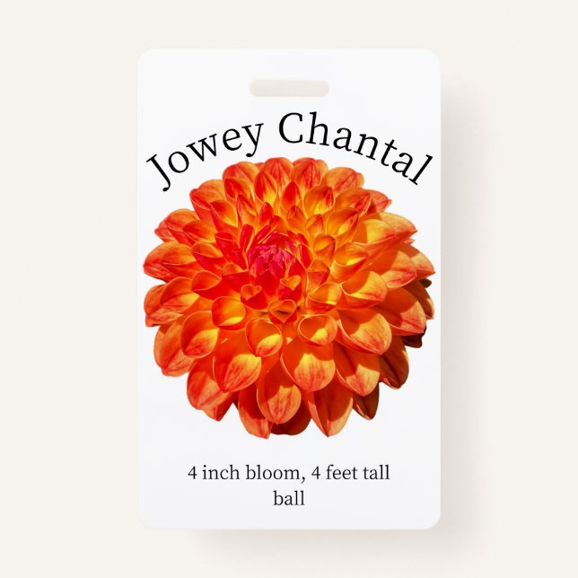 Jowey Chantal Dahlia ID Badge (Front)