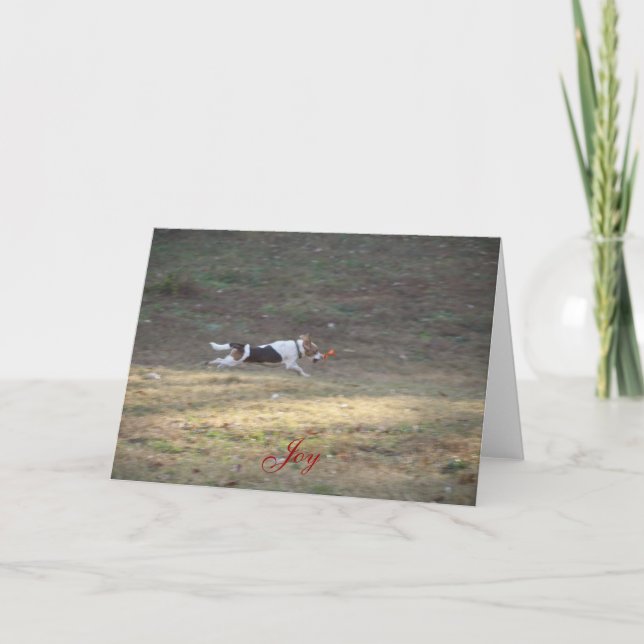 Joy - 2012 holiday card (Front)