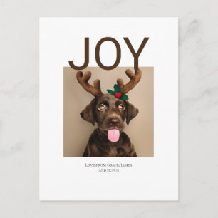 Joy Christmas Photo (postcard back) Postcard