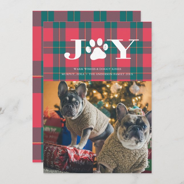 JOY Filled Paws Pet Photo Holiday Card (Front/Back)