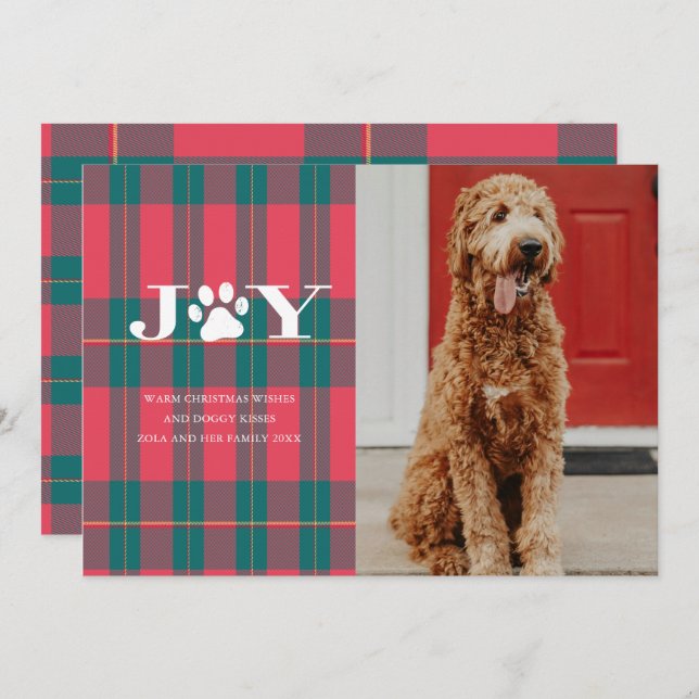 JOY Filled Paws Pet Photo Holiday Card (Front/Back)