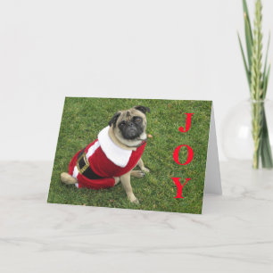 JOY! HOLIDAY CARD