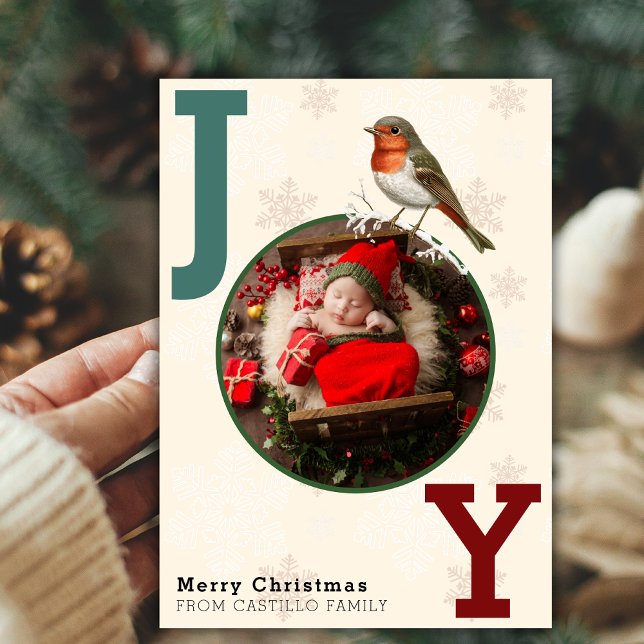 JOY Merry Christmas Photo Winter Bird  Holiday Card (Creator Uploaded)