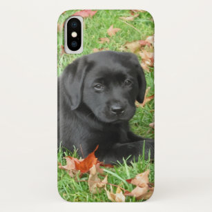 Joy of Autumn- Labrador Retriever Puppy- Black Lab Case-Mate iPhone Case