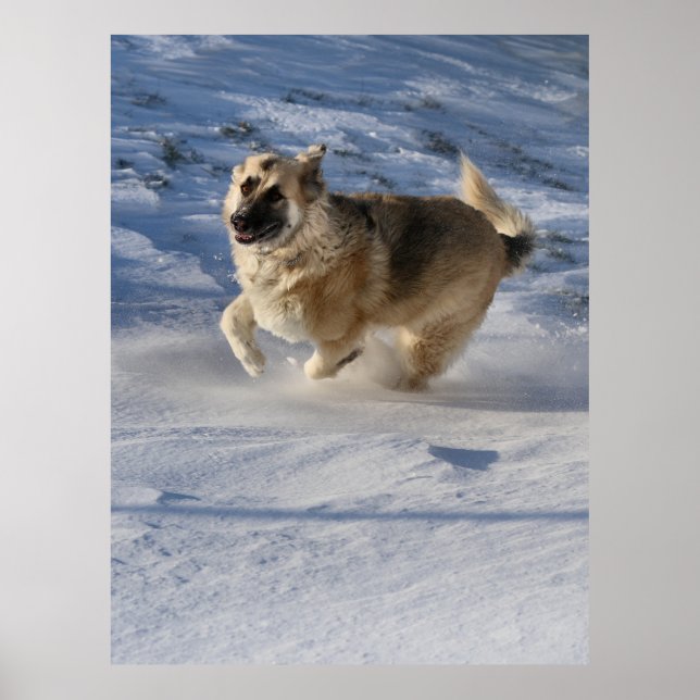 Joy on motion poster (Front)