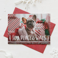 Joy Peach Wags Lettering Dog Photo
