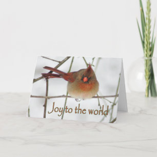 Joy to the Wordl Cardinal Christmas Card
