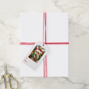 Joy to thee Puppy Gift Tags