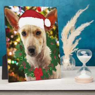 Joy to thee Puppy Plaque