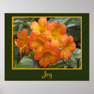 Joy Zen Meditation Orange Flowers Photo Templat Poster