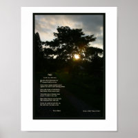 Joyce Kilmer poem Trees 8 1/2 x 11