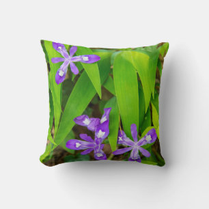 Joyce Kilmer-Slickrock Wilderness 2 Cushion