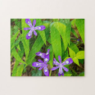Joyce Kilmer-Slickrock Wilderness 2 Jigsaw Puzzle