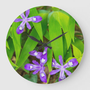 Joyce Kilmer-Slickrock Wilderness 2 Large Clock