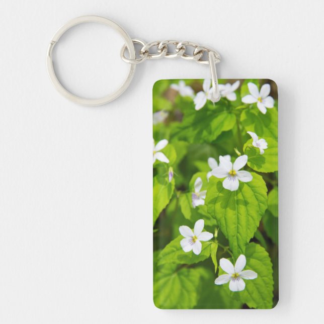 Joyce Kilmer-Slickrock Wilderness Key Ring (Front)