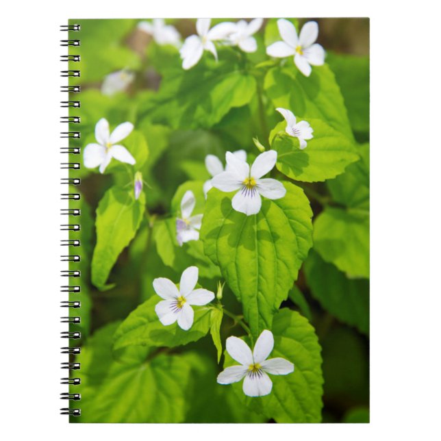 Joyce Kilmer-Slickrock Wilderness Notebook (Front)