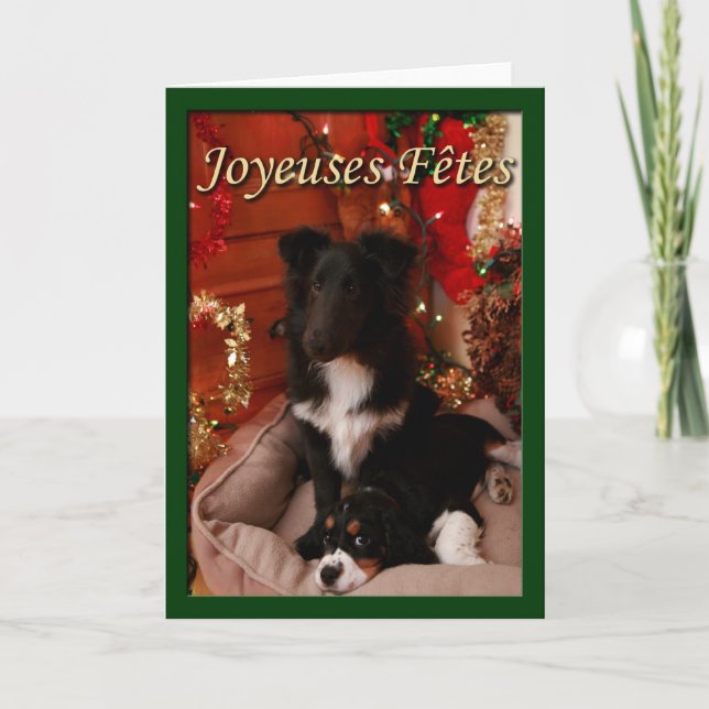 Joyeuses Fetes Holiday Card (Front)