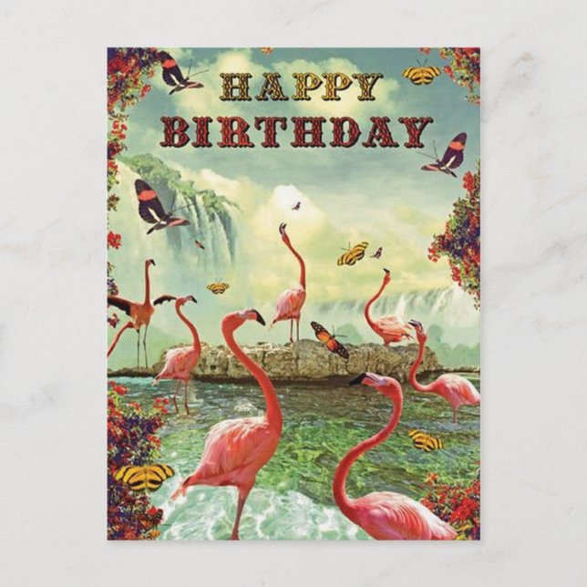 Joyeux anniversaire flamands roses postcard (Front)