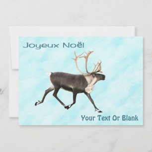 Joyeux Noёl - Caribou (Reindeer) On Snow