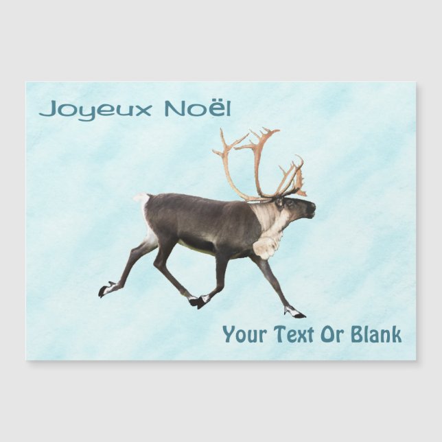 Joyeux Noёl - Caribou (Reindeer) On Snow (Front)