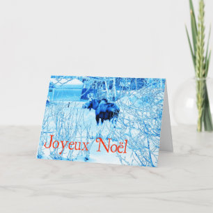 Joyeux Noёl - Urban Moose Holiday Card